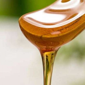 什么是鸭脚木蜜？鸭脚木蜂蜜多少钱一斤?