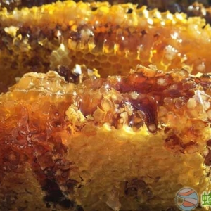 养蜂人怎么打造蜂蜜品牌？