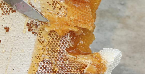 蜂巢蜜比普通液态蜂蜜好在哪？