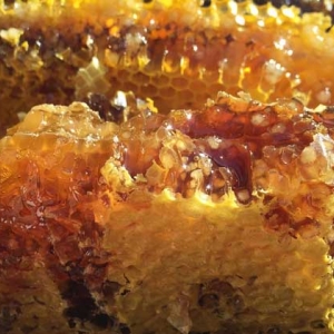 蜂巢蜜为什么比蜂蜜贵？