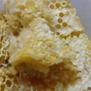 蜂巢蜜为什么嚼不烂？