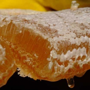 最新土蜂蜜价格多少钱一斤？