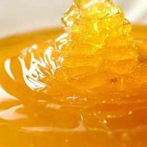 什么是麻垌蜜？麻垌蜂蜜的作用和功效