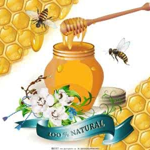 每年的5月20日为世界蜜蜂日
