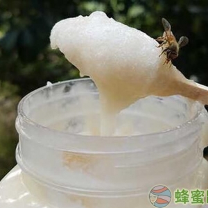 小蜜蜂：鸭脚木蜜的食用禁忌？鸭脚木蜂蜜的功效与作用？ 