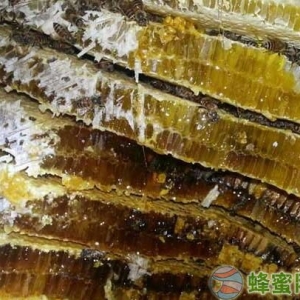 什么是蜂巢蜜？蜂巢蜂蜜的功效与作用