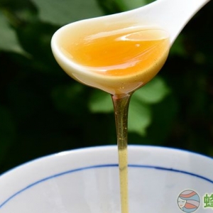 龙眼蜜和荔枝蜜哪个好?龙眼蜜的功效与作用及禁忌 