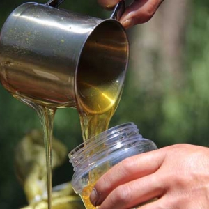 纯蜂蜜怎么辨别真假？除了色、香、味，能否结晶也是个重要依据！