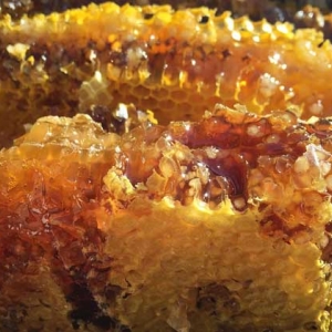 土蜂蜜、蜂巢蜜、百花蜜、洋槐蜜哪个好？答案不一定，质量是关键！