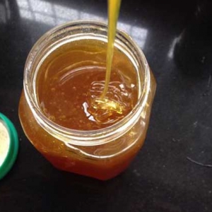 桉树蜂蜜的坏处及副作用