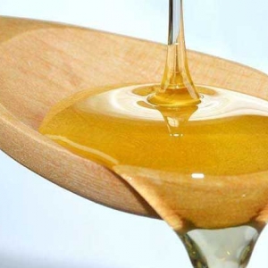 黄芪蜜的作用与功效及食用方法