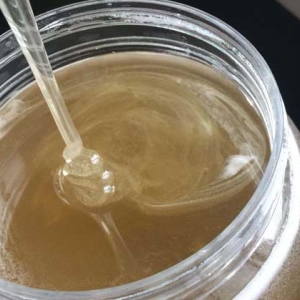 椴树蜜的功效与作用及食用方法