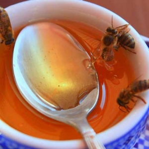 蜂蜜的禁忌人群及正确喝法