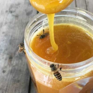 孕妇喝蜂蜜水好吗？