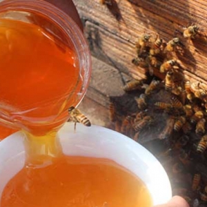 蜂蜜加盐的作用与功效及简单做法