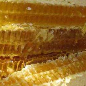 蜂巢蜜和蜂蜜有什么不同？