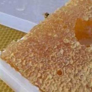 蜂巢蜜嚼后的渣渣能吃吗？