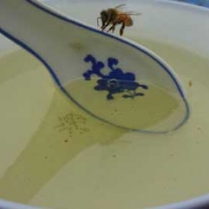 蜂蜜里面能掺白糖吗？