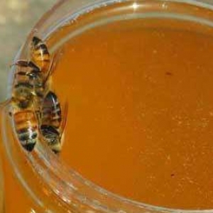狼牙蜜是什么蜜？
