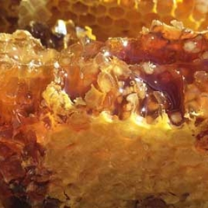 天然蜂巢蜜多少钱一斤？
