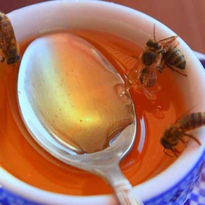 生姜蜂蜜水减肥法原理及正确喝法