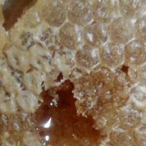 人工蜂巢蜜怎么做成的？