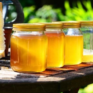 三日蜂蜜减肥法真的靠谱吗？