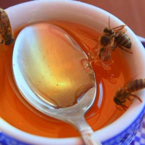 蜂蜜能直接涂在脸上吗？