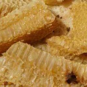 蜂蜜是蜜蜂拉的屎吗？