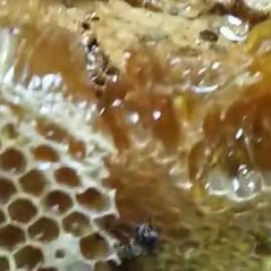 蜂巢蜜怎么保存才不变质？