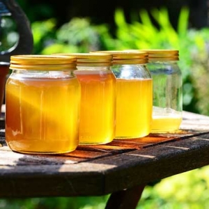 蜂蜜和什么一起喝减肥效果好？