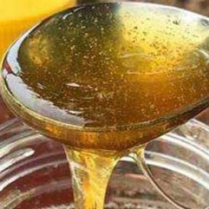 喝乌桕蜜有什么好处？
