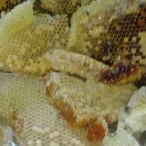 中国哪里产的土蜂蜜好？