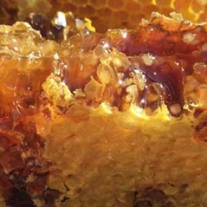 蜂蜜正常价格多少钱一斤？