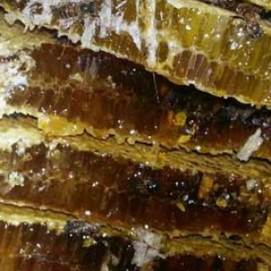 结晶土蜂蜜是什么颜色？