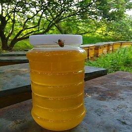 南方蜂蜜的常见品种及功效