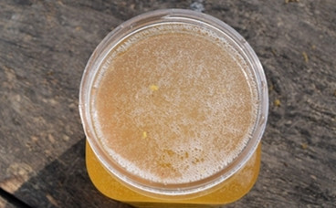 蜂蜜喝起来为什么会有酸味？